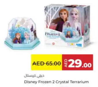 LuLu Express Disney frozen 2 crystal terrarium offer