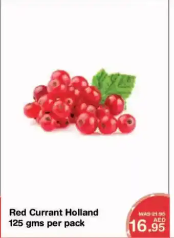 Choithrams Red Currant Holland per pack offer