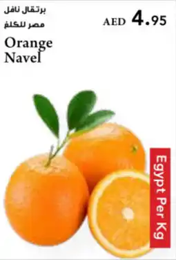 Almaya supermarket Orange Navel offer