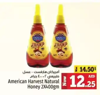 Kenz Hypermarket American harvest natural honey offer