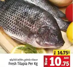 Kenz Hypermarket Fresh tilapia offer