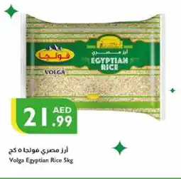 Istanbul Supermarket VOLGA Egyptian / Calrose Rice offer