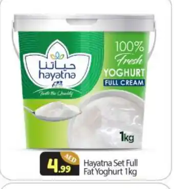 Bigmart HAYATNA Yoghurt offer