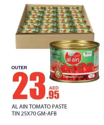 Bismi Wholesale AL AIN Tomato Paste offer