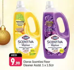 Shaklan CLOROX Disinfectant offer