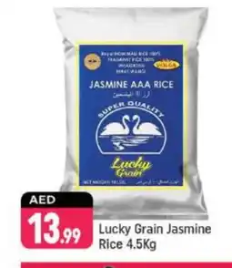 Shaklan VOLGA Jasmine Rice offer