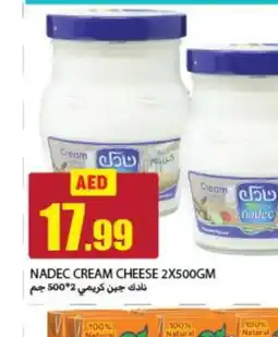 Rawabi Market NADEC Cream Cheese offer