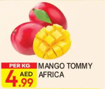 Dream Land Center Mango tommy offer