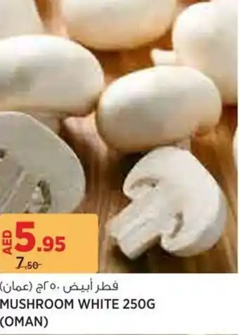 Aswaaq Mushroom white offer