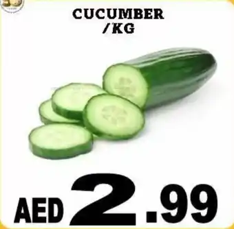 Al Madina Cucumber offer