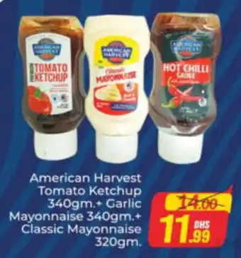 Al Madina Hypermarket American Harvest Tomato Ketchup offer