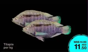 Choithrams Tilapia offer
