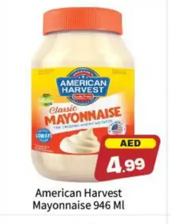 Bigmart AMERICAN HARVEST Mayonnaise offer