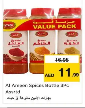 Nesto AL AMEEN Spices / Masala offer