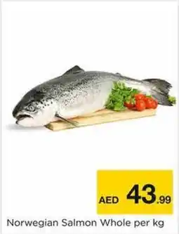 Nesto Norwegian Salmon Whole offer