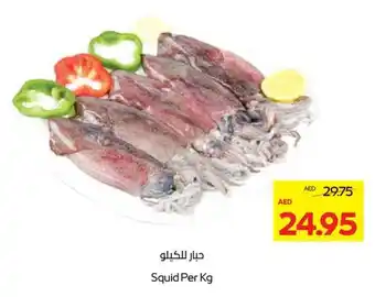 Abu Dhabi Coop Squid offer