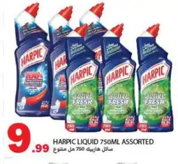Rawabi Market HARPIC Toilet / Drain Cleaner offer