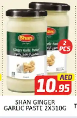 Al Madina SHAN Garlic Paste offer