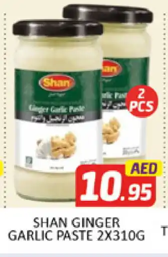 Al Madina SHAN Garlic Paste offer