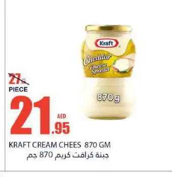 Bismi Wholesale KRAFT Cheddar Cheese offer