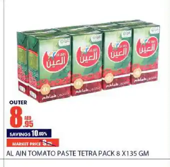 Bismi Wholesale AL AIN Tomato Paste offer