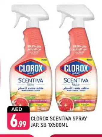 Shaklan CLOROX General Cleaner offer