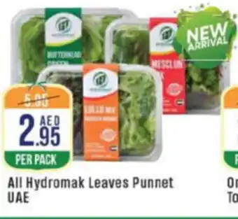 West Zone Supermarket All hydromak leaves punnet offer