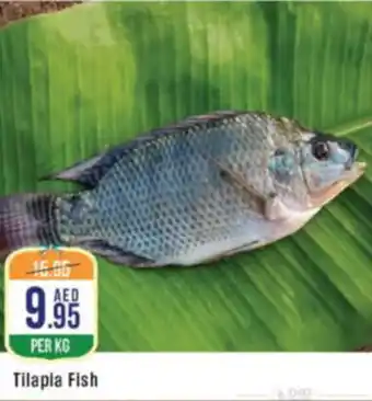 West Zone Supermarket Tilapia Fish offer