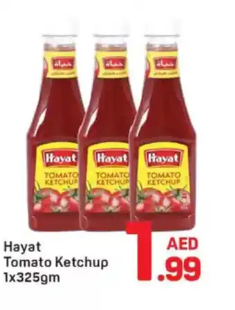 Day To Day Hayat Tomato Ketchup offer