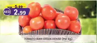 KM Trading Tomato green house offer