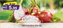 KM Trading Dragon fruit offer