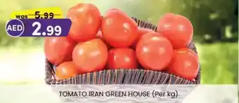 KM Trading Tomato green house offer