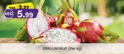 KM Trading Dragon fruit offer