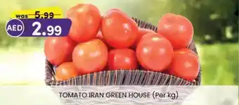 KM Trading Tomato  green house offer