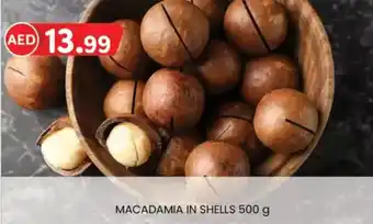 KM Trading Macadamia in shells offer