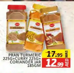 Al Madina PRAN Spices / Masala offer