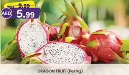 KM Trading Dragon fruit offer