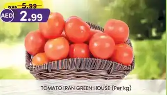 KM Trading Tomato iran green house offer