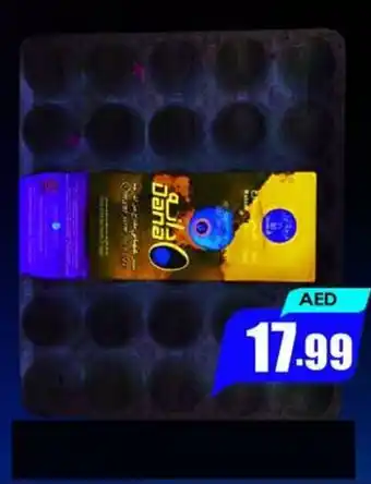 Amber Dana Egg offer