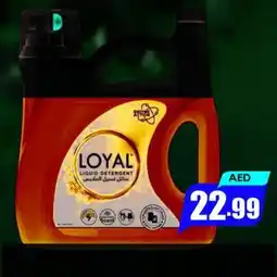 Amber Loyal Liquid Detergent offer