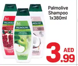 Day To Day PALMOLIVE Shampoo / Conditioner offer