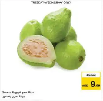 Last Chance Guava Egypt offer