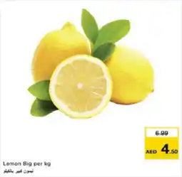 Last Chance Lemon Big offer