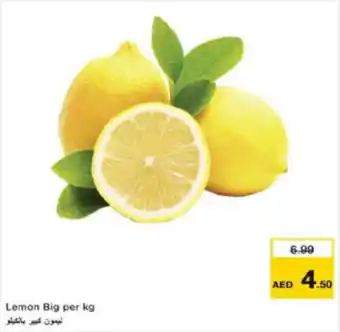 Last Chance Lemon Big offer