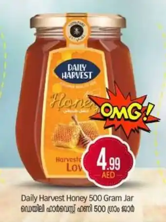 Bigmart Daily Harvest Honey Gram Jar offer