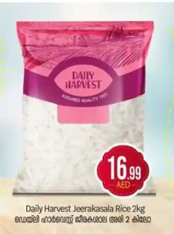 Bigmart Daily Harvest Jeerakasala Rice offer