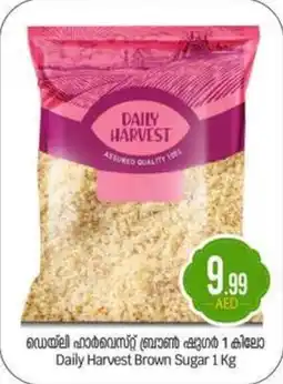 Bigmart Daily Harvest Brown Sugar offer