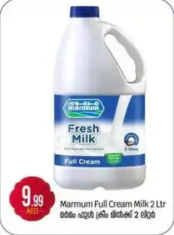 Bigmart Marmum Full Cream Milk offer