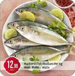 Bigmart Mackerel Fish Medium offer