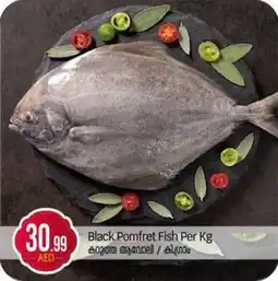 Bigmart Black Pomfret Fish offer